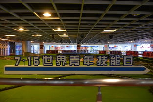 技能筑夢 青春飛揚——我市成功舉辦世界青年技能日系列宣傳活動成果展