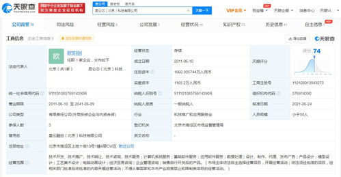 昆侖芯更名啟新程，注冊(cè)資本增約16%深化軟件服務(wù)布局