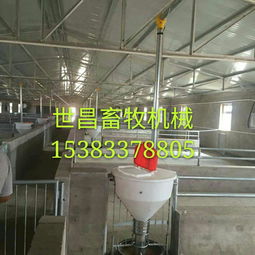 養豬設備廠供應自動下料桶 生產廠家、價格解析與羊場應用前景