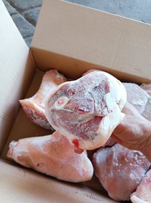 山東臨沂蘭山區(qū)豬副產(chǎn)品批發(fā)概覽 優(yōu)質(zhì)豬肘子，價(jià)格親民